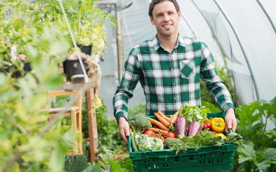 What Are the Advantages of a Merchant Account for a Produce Market?